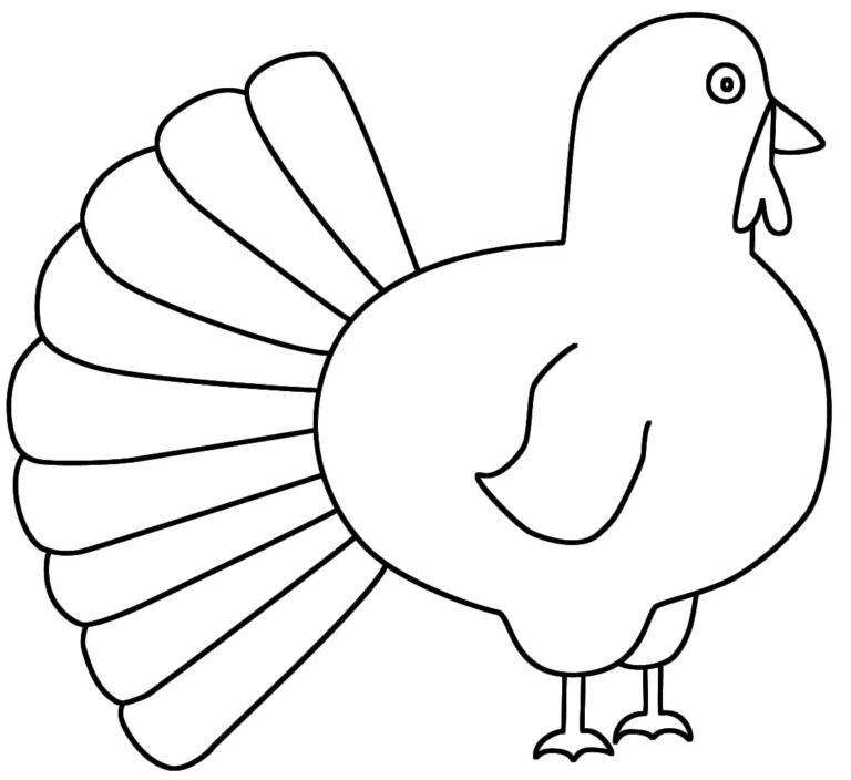 Turkey Drawing Outline At GetDrawings Free Download