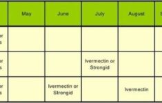 Worming Schedule Horse Worming Schedule Horse Health Healthy Horses